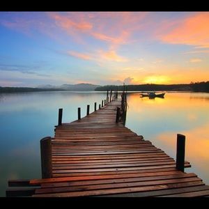 Meet your Posher, Sue